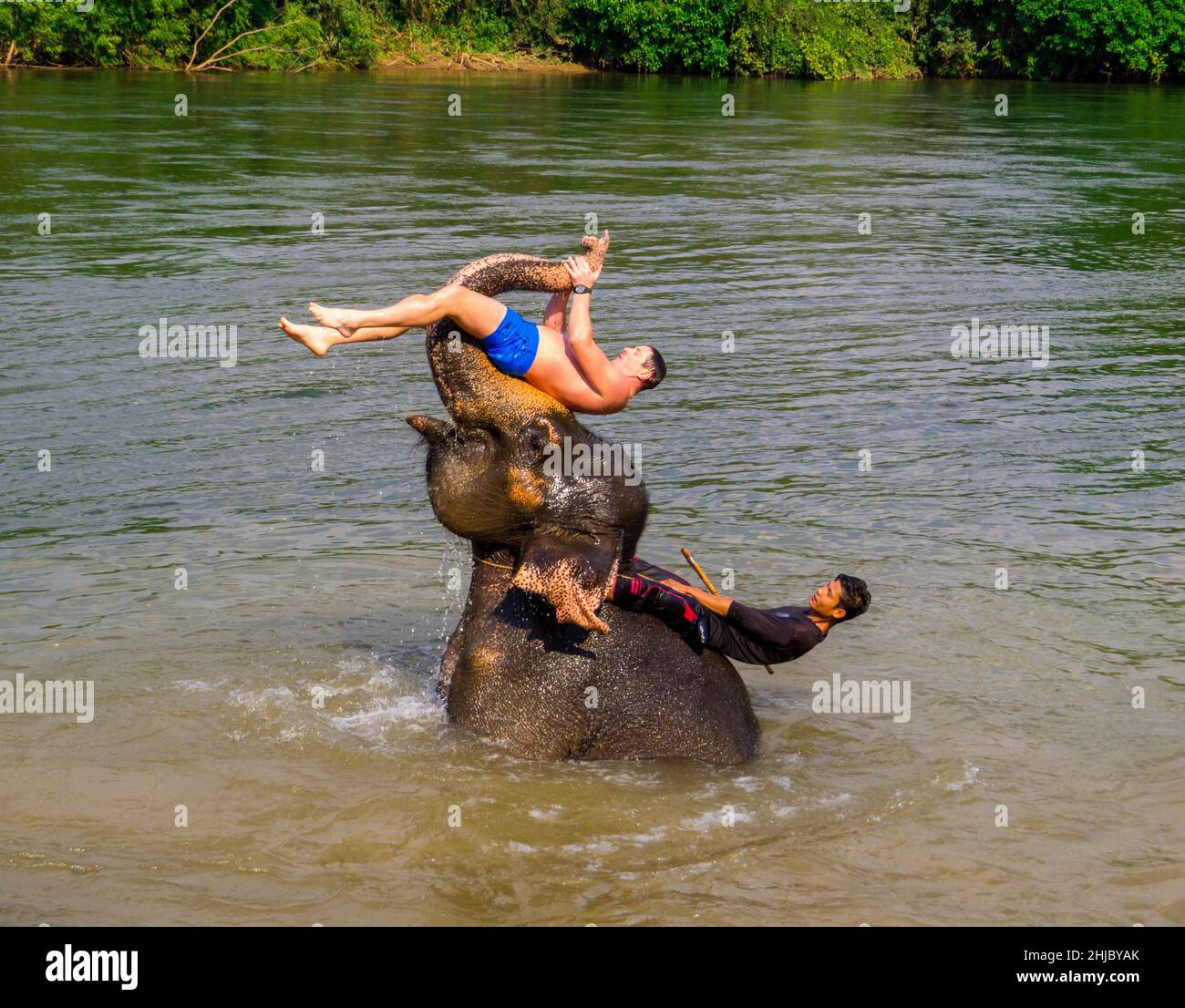 Kanchanaburi, Thailand - January 4, 2020: Tourists swimming with elephant in the Mahawangchang Elephant Camp. Stock Photo