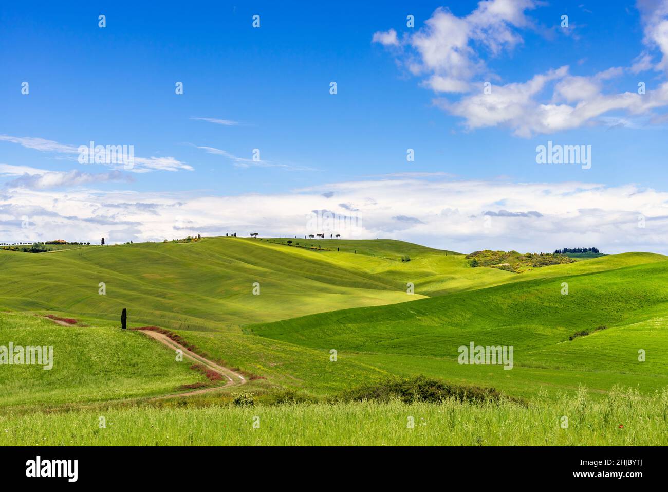 Tuscan view hi-res stock photography and images - Alamy