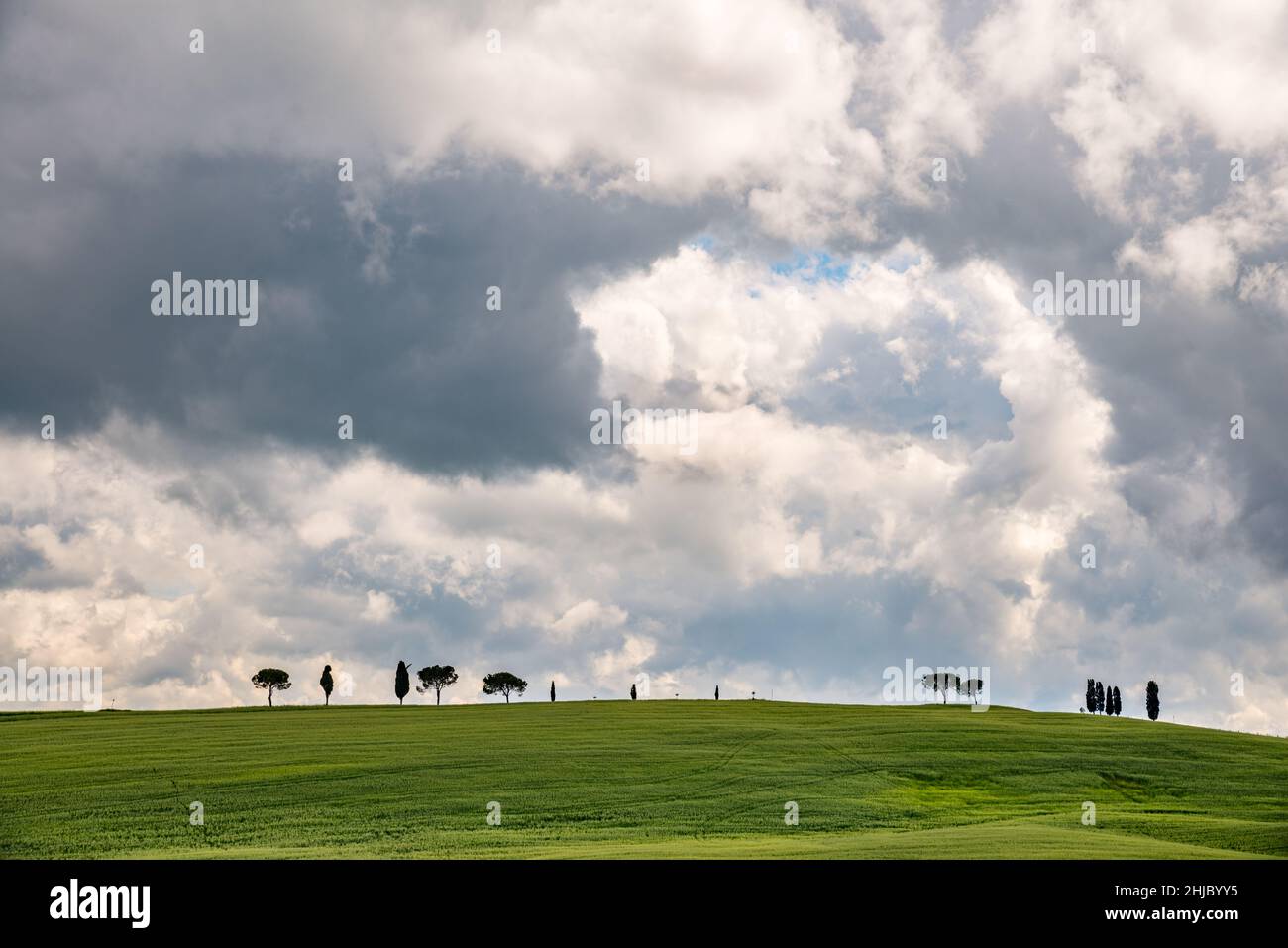 View scenic tuscan countryside hi-res stock photography and images - Alamy