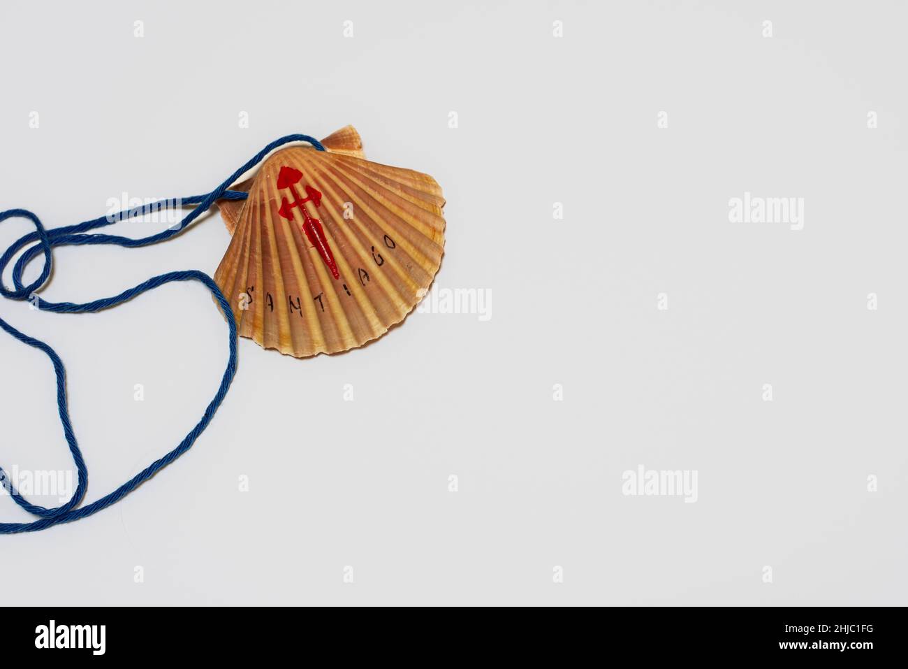 St James's shell in a blue cord on white background with space for copy, Frederikssund, Denmark, January 27, 2022 Stock Photo