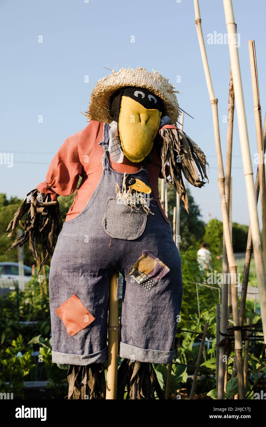 Urban garden scarecrow in color Stock Photo