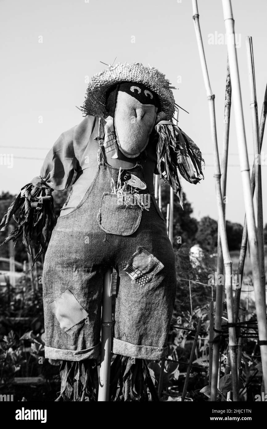 Urban garden scarecrow shot in black and white Stock Photo