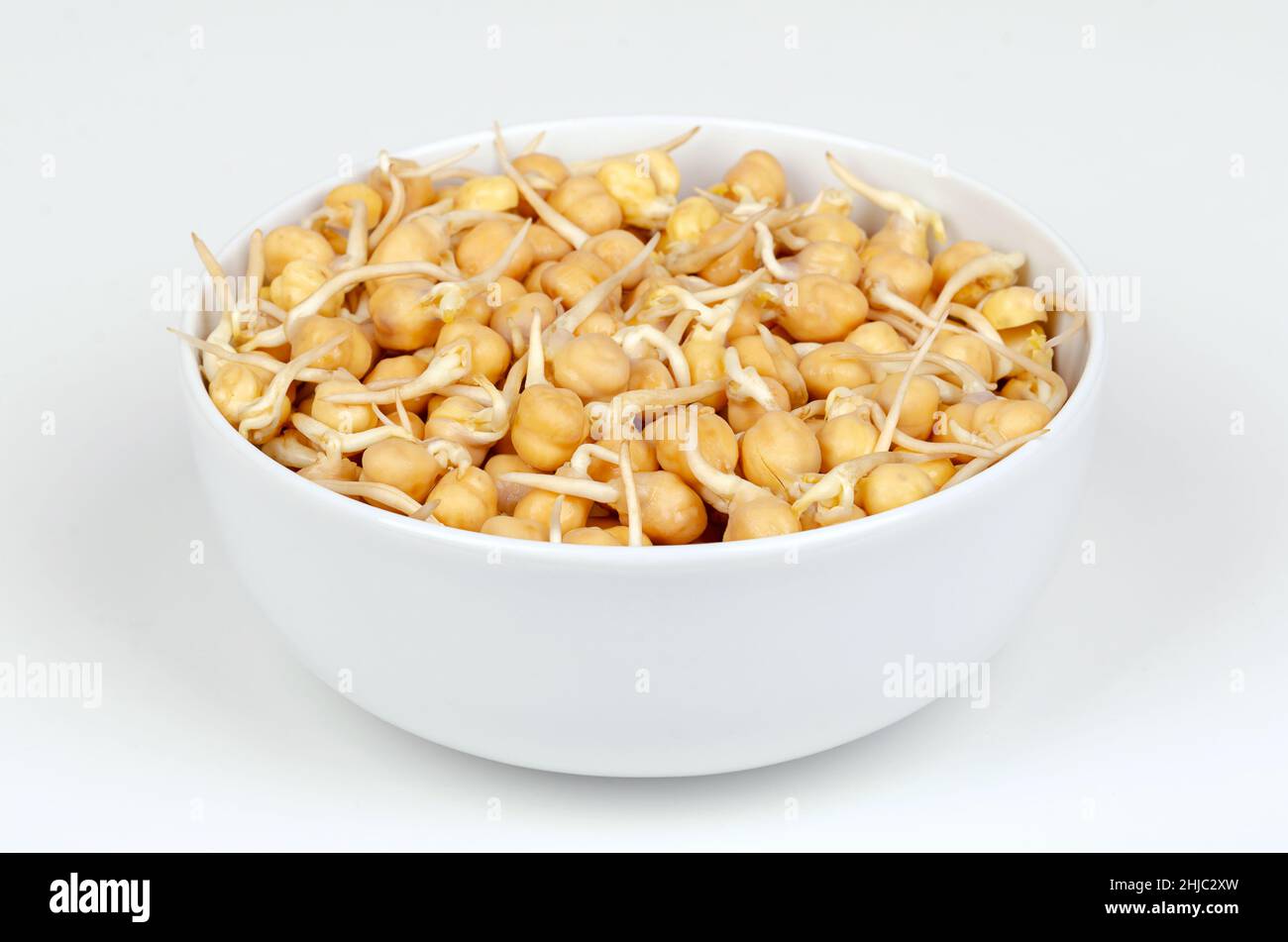 Chickpea sprouts, in a white bowl, front view, on white surface. Ready to eat, sprouted chickpeas, seeds of Cicer arietinum, legume and protein source. Stock Photo