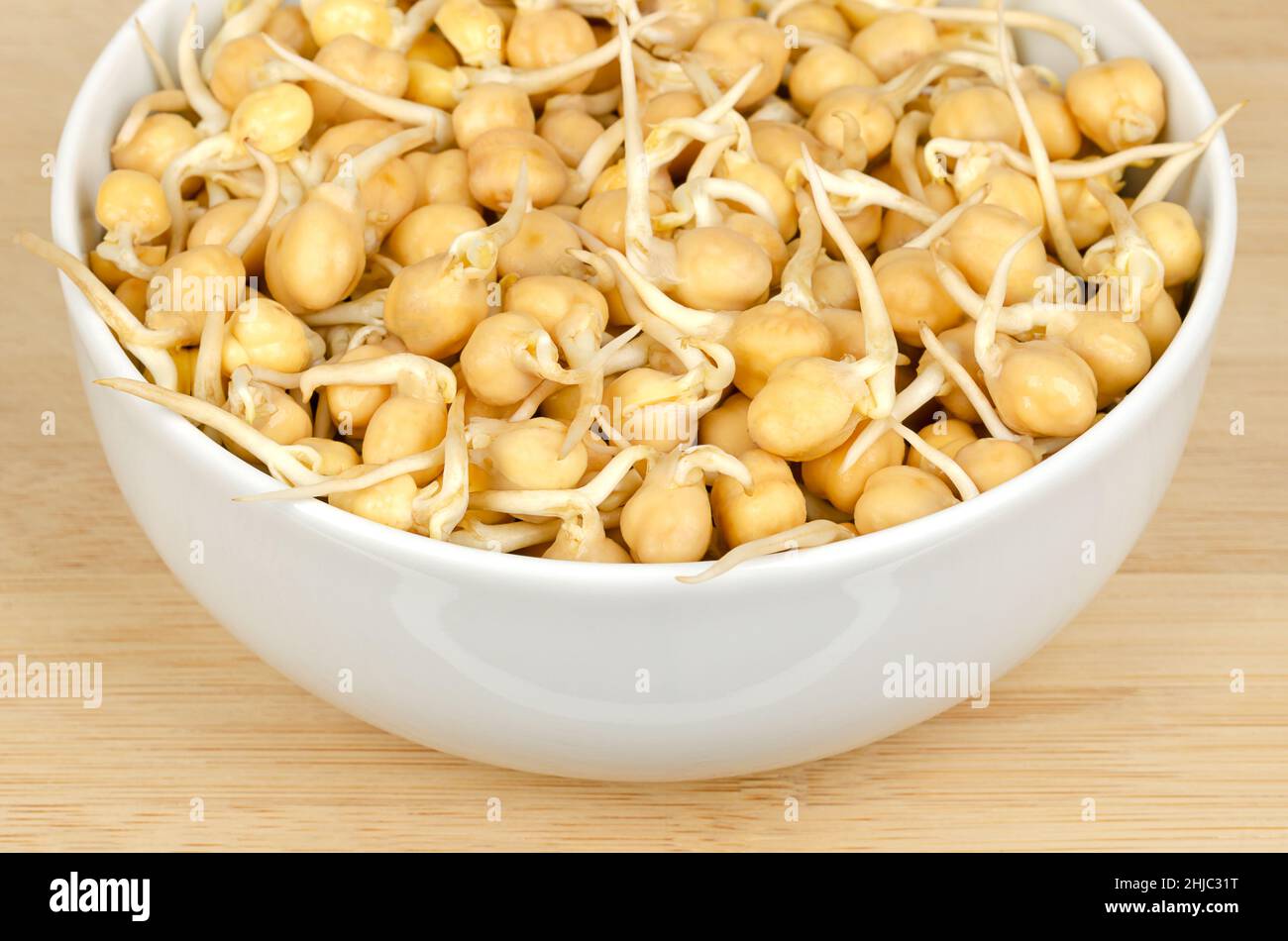 Chickpea sprouts in a white bowl on wooden surface. Raw, fresh, ready to eat, sprouted chickpeas, seeds of Cicer arietinum, legume and protein source. Stock Photo