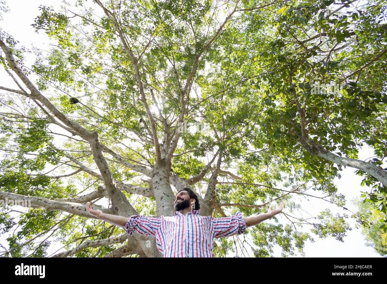 Portrait of smiling young man at a park on a beautiful sunny day. Man ...