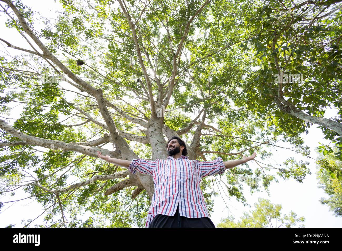 Happinessm trees hi-res stock photography and images - Alamy