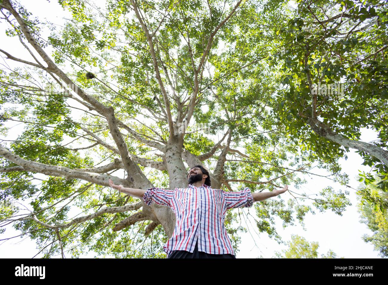 Portrait of smiling young man at a park on a beautiful sunny day. Man ...