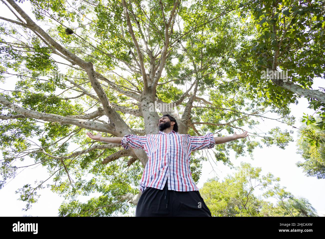 Happinessm trees hi-res stock photography and images - Alamy
