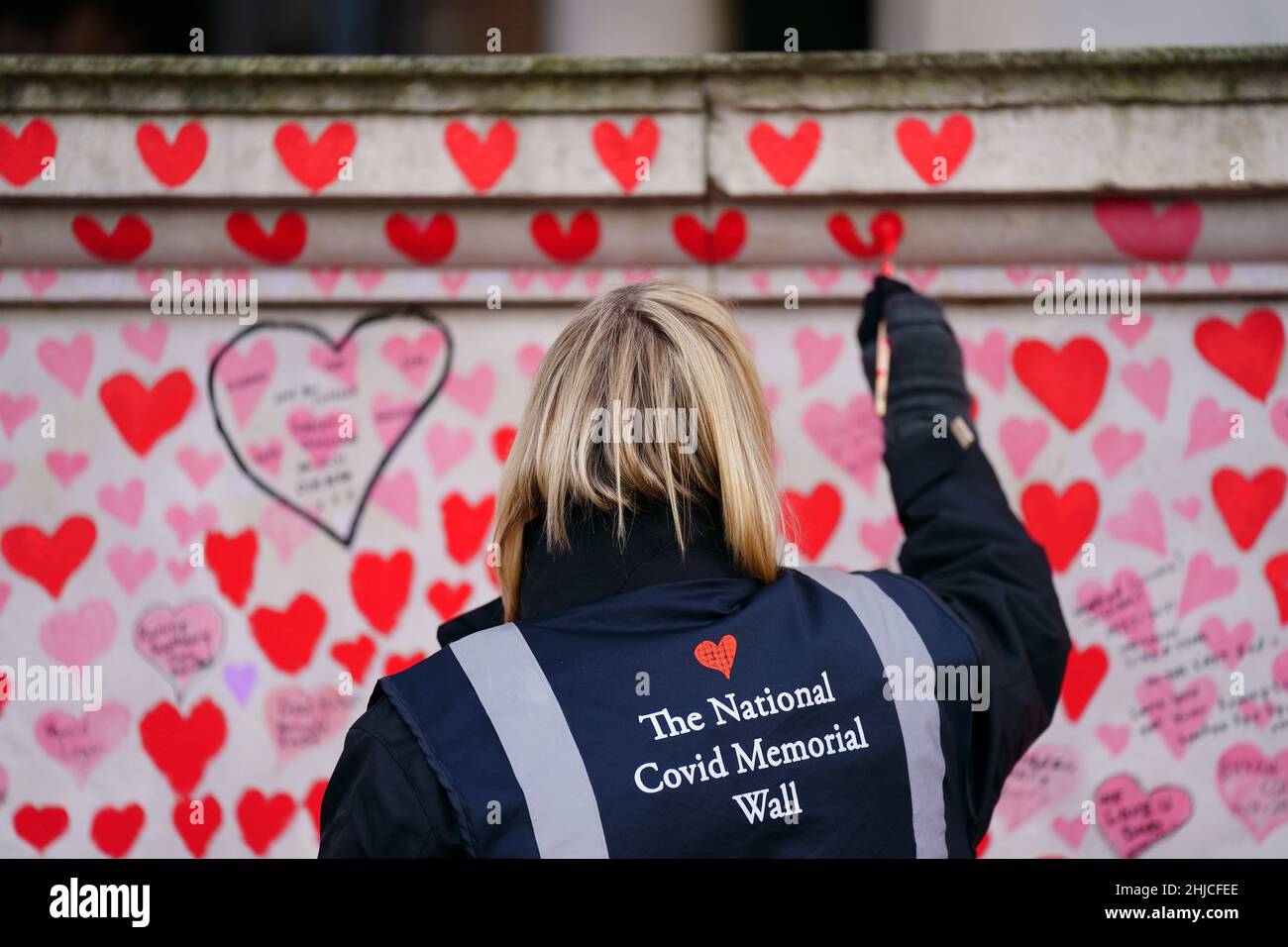 A volunteer from the Covid-19 Bereaved Families for Justice campaign group paints a heart on the National Covid Memorial Wall opposite the Palace of Westminster in central London, which remembers people who have died of the virus. Picture date: Friday January 28, 2022. Stock Photo