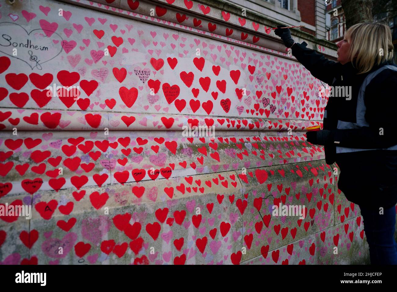 A volunteer from the Covid-19 Bereaved Families for Justice campaign group paints a heart on the National Covid Memorial Wall opposite the Palace of Westminster in central London, which remembers people who have died of the virus. Picture date: Friday January 28, 2022. Stock Photo