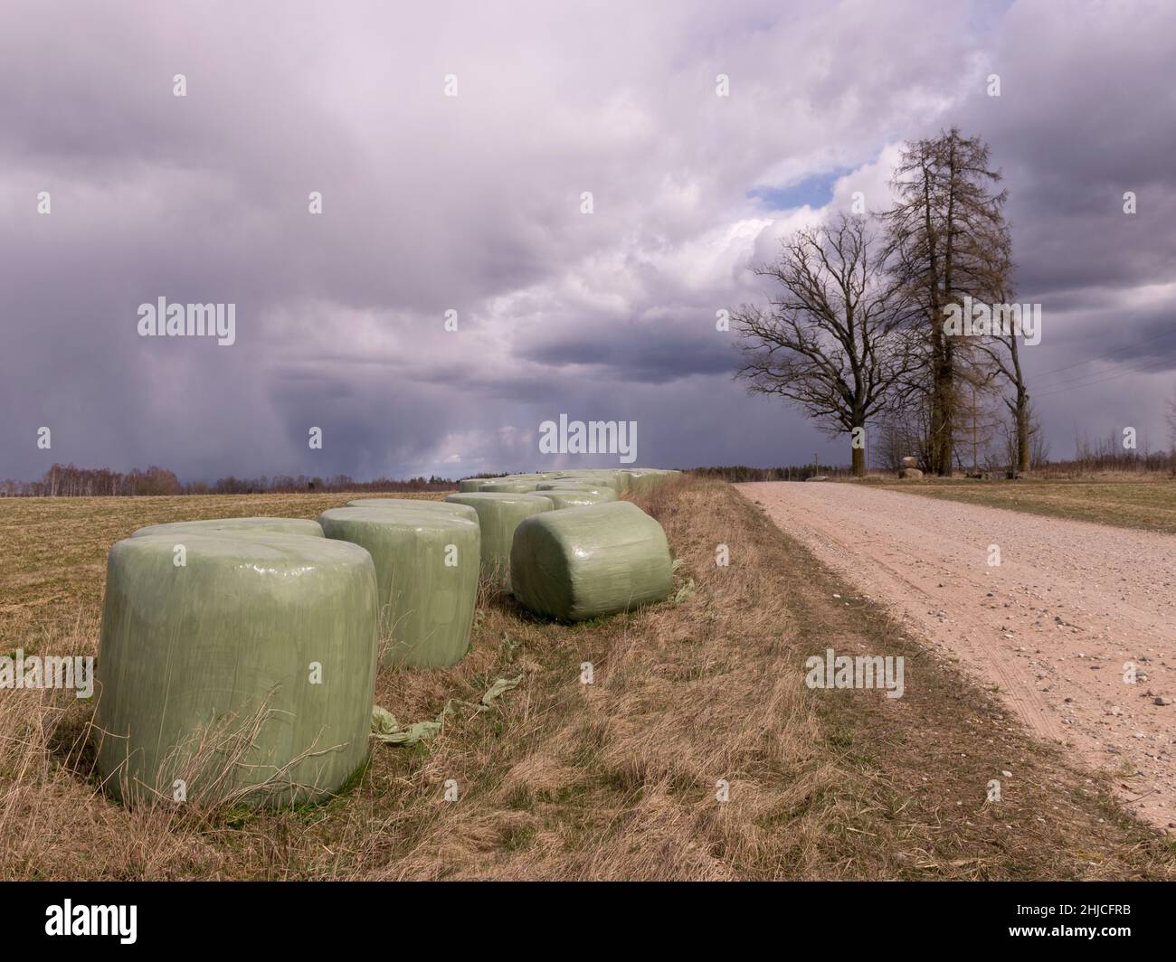 simple rural landscape, hay rolls along the side of the road, beautiful ...