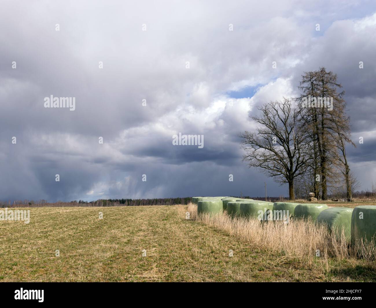 simple rural landscape, hay rolls along the side of the road, beautiful ...