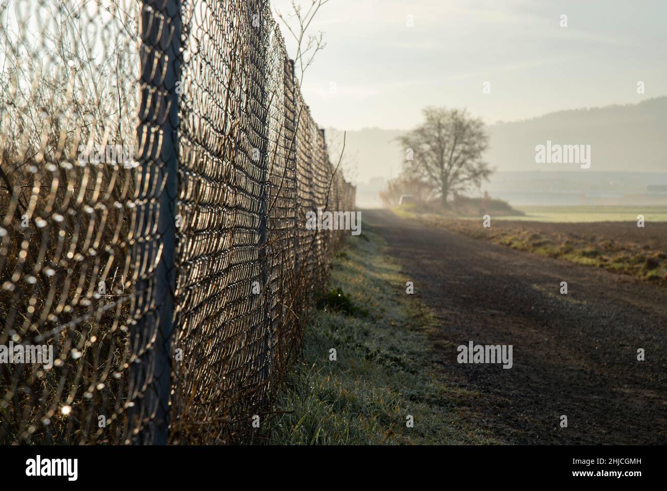 Landscape showing a long fence and a tree among the fog in the background at the end of a path Stock Photo
