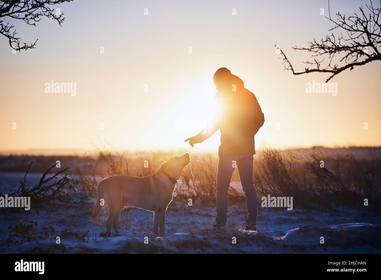 Man with dog during winter morning. Pet owner learning obedinece his labrador retriever. Stock Photo