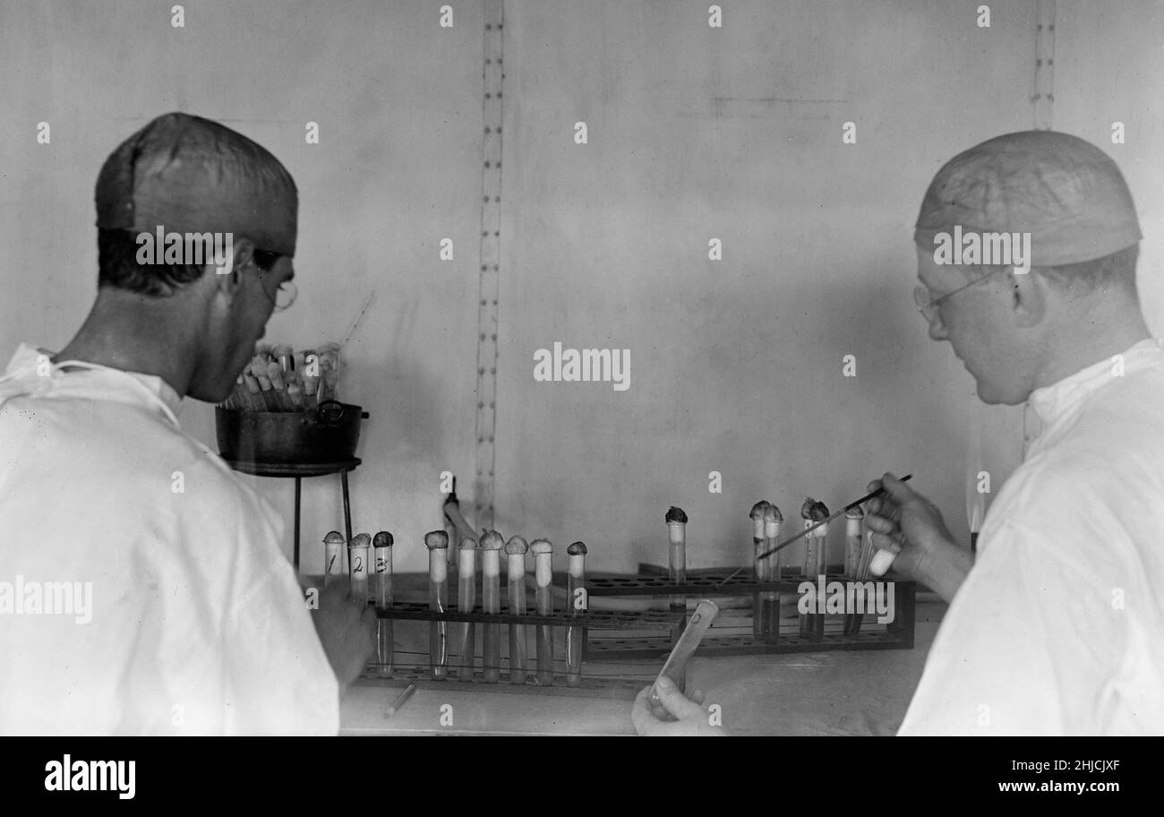 Making typhoid vaccine, 1917. Stock Photo