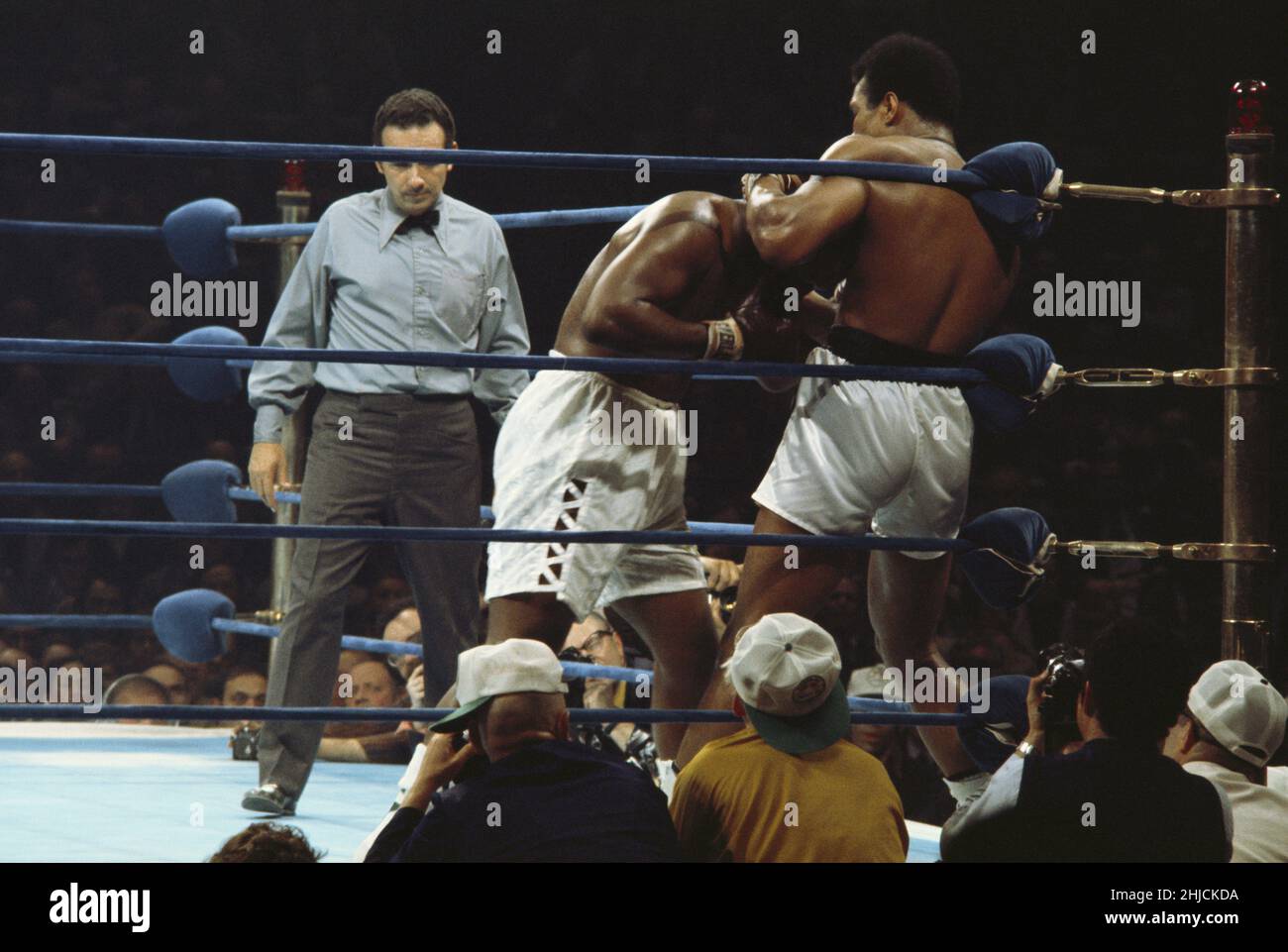 Muhammad Ali (born 1942) fighting Joe Frazier (born 1944) on March 8, 1971 at Madison Square Garden, New York City.  The "Fight of the Century" was a match between champion Frazier and challenger Ali.  Frazier won. Stock Photo