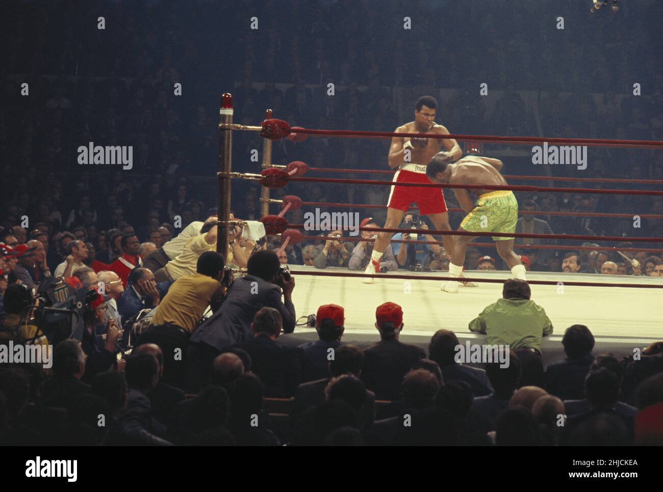 Muhammad Ali (born 1942) fighting Joe Frazier (born 1944) on March 8, 1971 at Madison Square Garden, New York City.  The 'Fight of the Century' was a match between champion Frazier and challenger Ali.  Frazier won. Stock Photo
