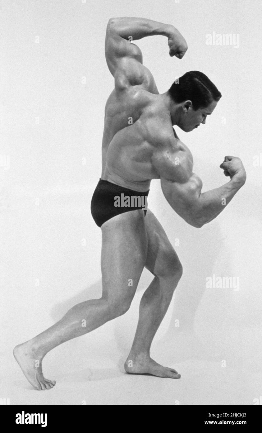 Arnold Schwarzenegger (born 1947) as a body builder in the 1960s and 1970s. He was a pioneer in the industry, winning many awards and helping to promote its popularity with the general public. He went on to become an actor in action movies and the governor of California. Stock Photo