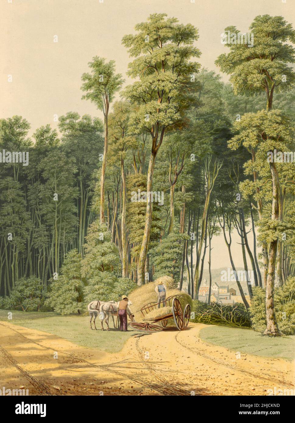 'Summer - A  Road Accident. A glimpse thro' an opening of the Primitive Forest. Thornville, Ohio, 1841.' A hand-colored aquatint by William James Bennett (1787-1844). Stock Photo
