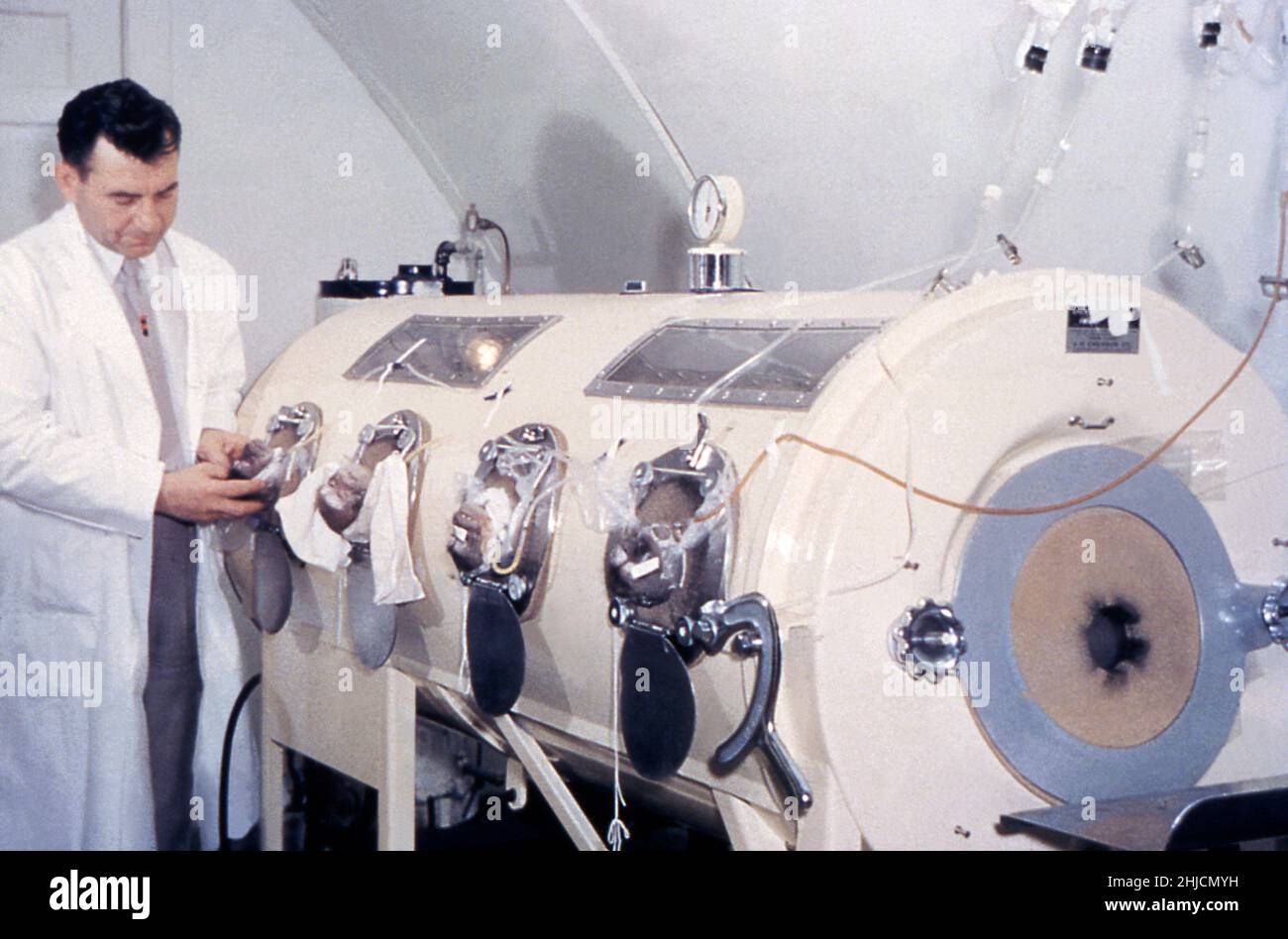 Technician calibrating an iron lung machine. These machines were used to keep polio patients alive, enabling them to breathe by creating a negatively-pressurized environment around their bodies after having been sealed inside the machine, with only their head exterior to the confines of the apparatus. Poliovirus is a member of the enterovirus subgroup, family Picornaviridae. Enteroviruses are transient inhabitants of the gastrointestinal tract, and are stable at acid pH. Picornaviruses are small, ether-insensitive viruses with an RNA genome. Stock Photo