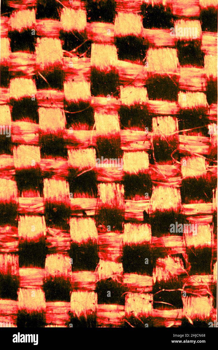 Fine silk. Magnification: 50x. Photomicrograph made by Arthur E Smith in the early 1900s, using a combined microscope and camera. In 1904, the Royal Society in London exhibited a series of Smith's photomicrographs to the public. They were later published in 1909 in a book called 'Nature Through Microscope & Camera.' They were the first examples of photomicroscopy many had ever seen. Stock Photo