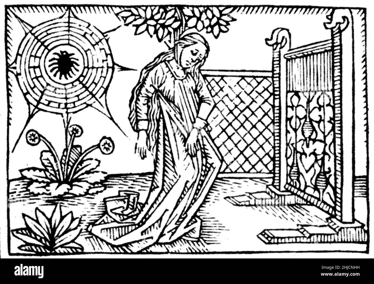 Arachne is the protagonist of a tale in Greco-Roman mythology. The talented mortal Arachne, daughter of Idmon, challenged Minerva, goddess of wisdom and crafts, to a weaving contest. When Minerva could find no flaws in the tapestry Arachne had woven for the contest, the goddess became enraged and beat the girl with her shuttle. After Arachne hanged herself out of shame, she was transformed into a spider. Stock Photo