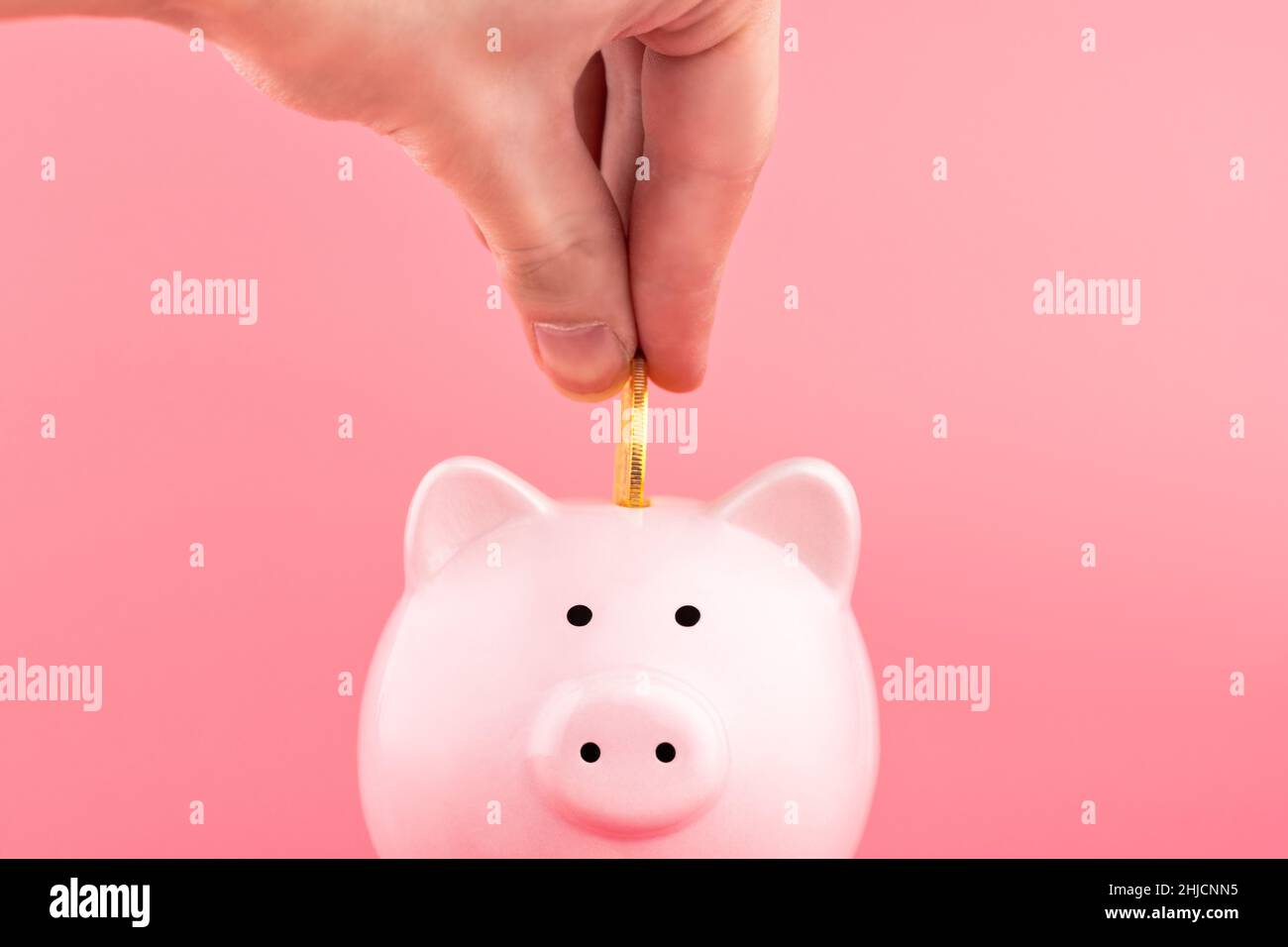 Pink piggy Bank and a man's hand puts down a coin on a pink background ...
