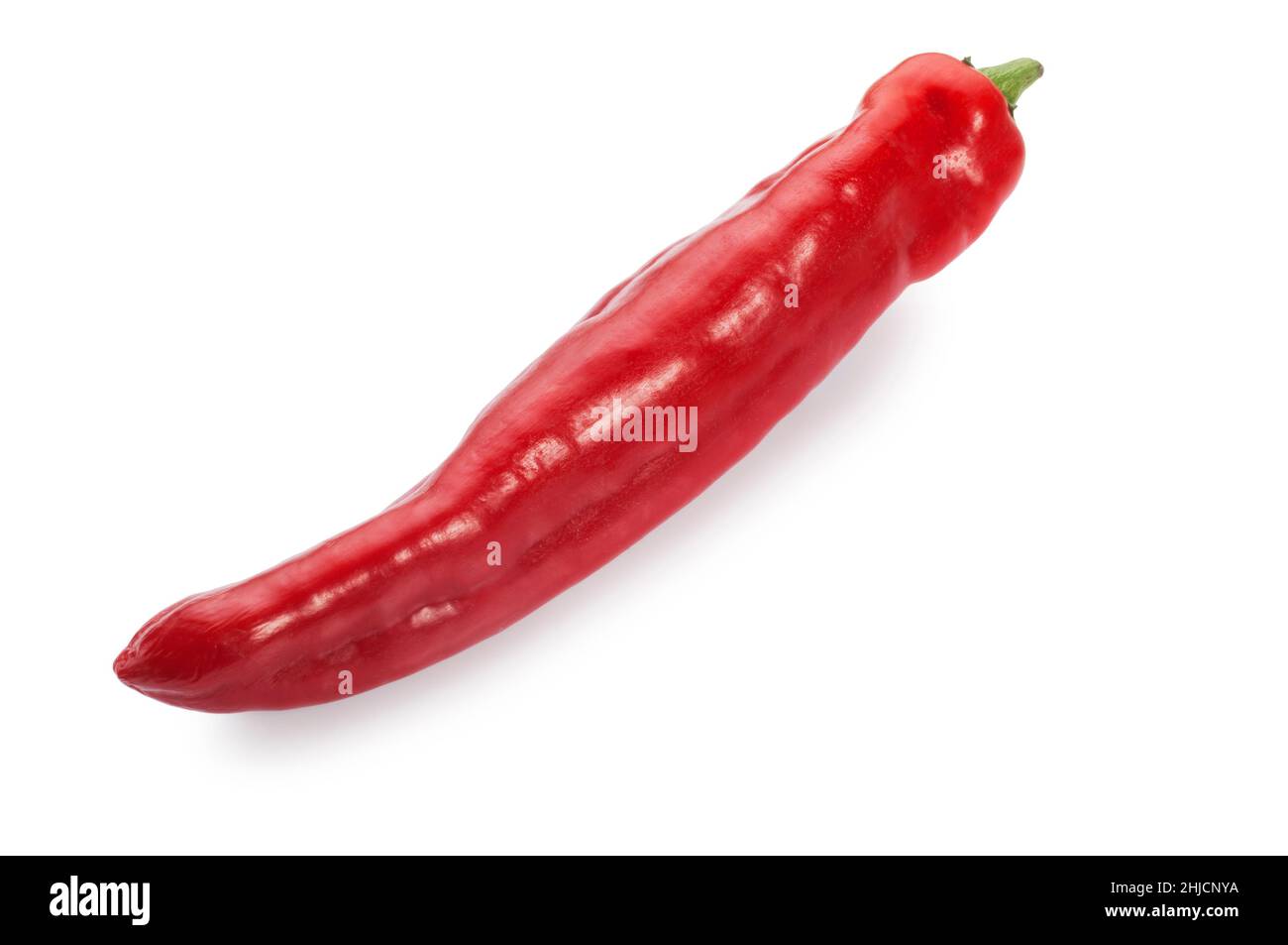 Studio shot of a single jalapeño pepper cut out against a white background - John Gollop Stock Photo
