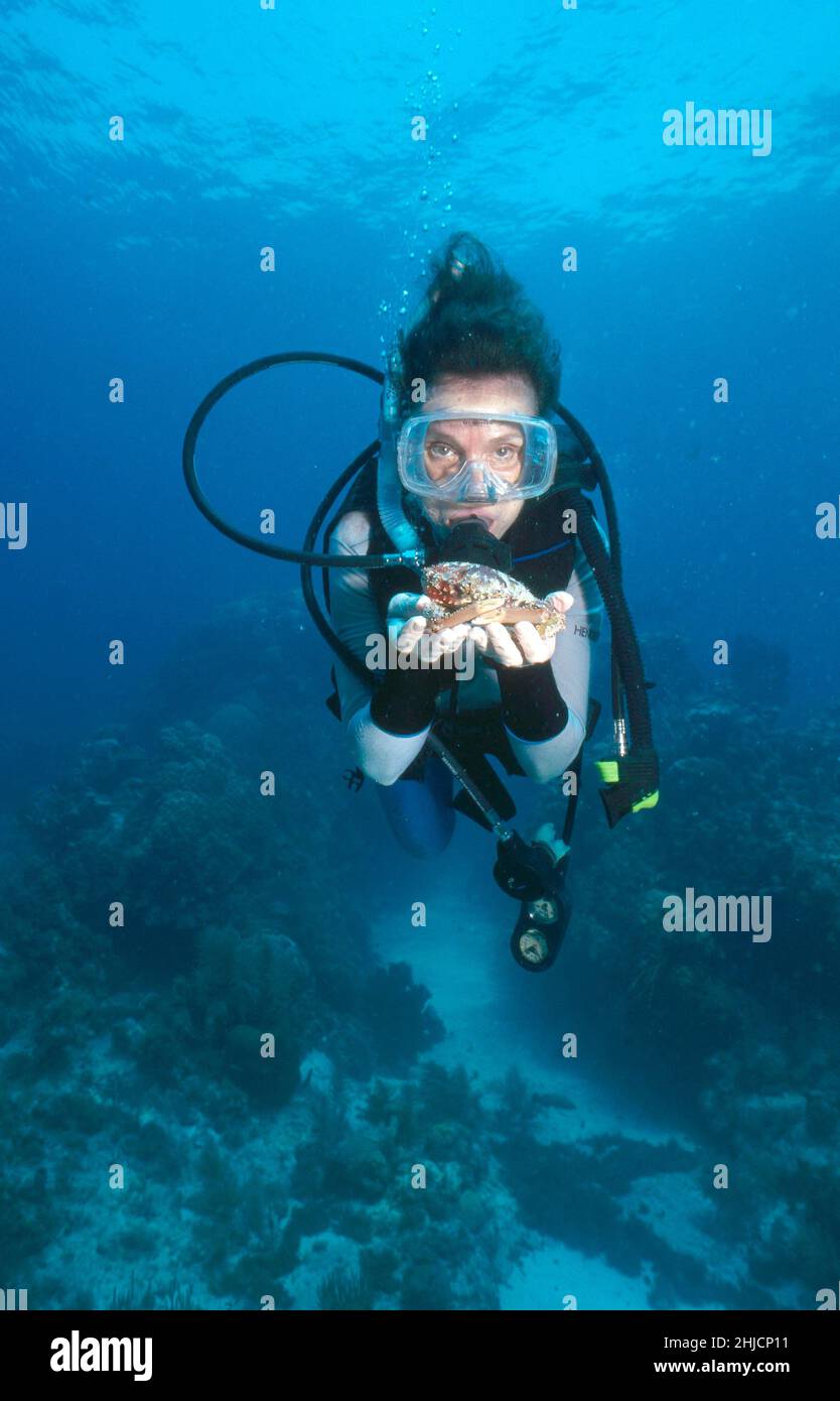 Dr. Sylvia Earle, holding a crab, scuba diving off the Florida Keys. Dr. Earle was once the chief scientist for the US National Oceanic and Atmospheric Administration (NOAA). Stock Photo