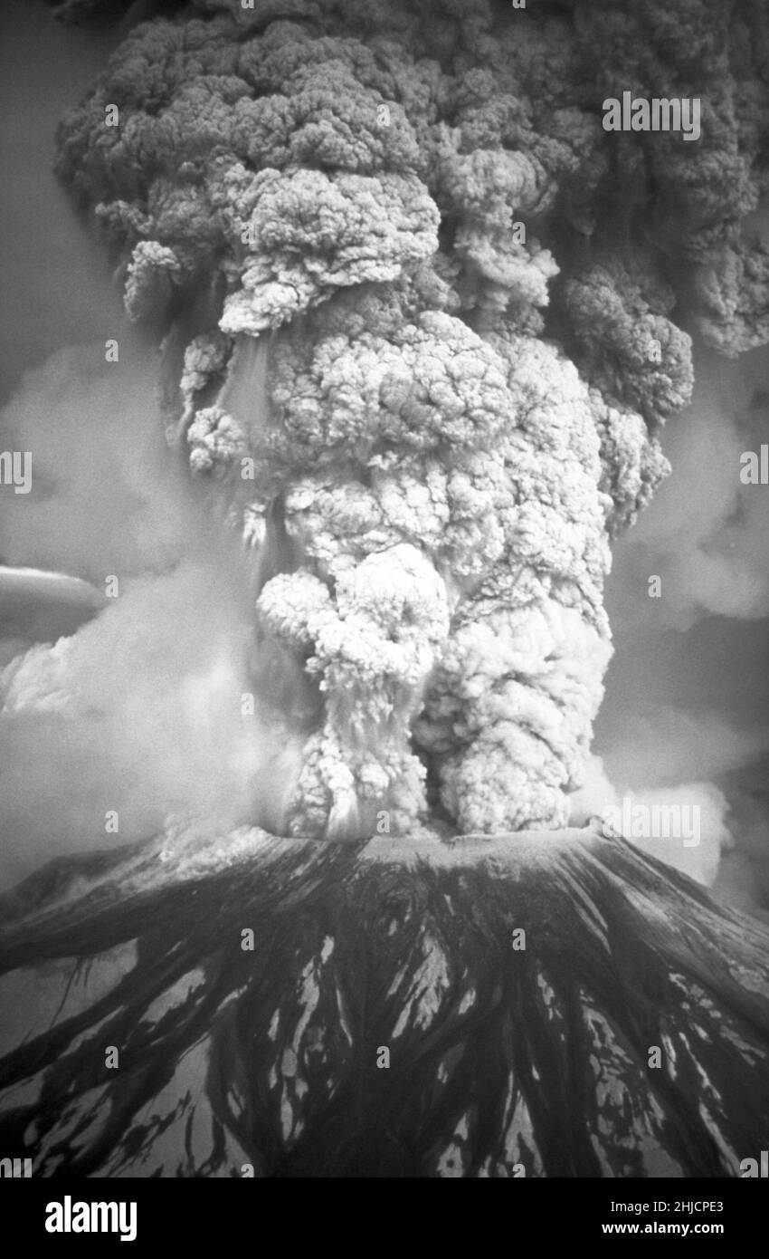 The eruption of May 18, 1980 sent volcanic ash, steam, water, and debris to a height of 60,000 feet. The mountain lost 1,300 feet of altitude and about 2/3 of a cubic mile of material stream downward from the center of the plume and the formation and movement of pyroclastic flows down the left flank of the volcano. May 18, 1980. Stock Photo