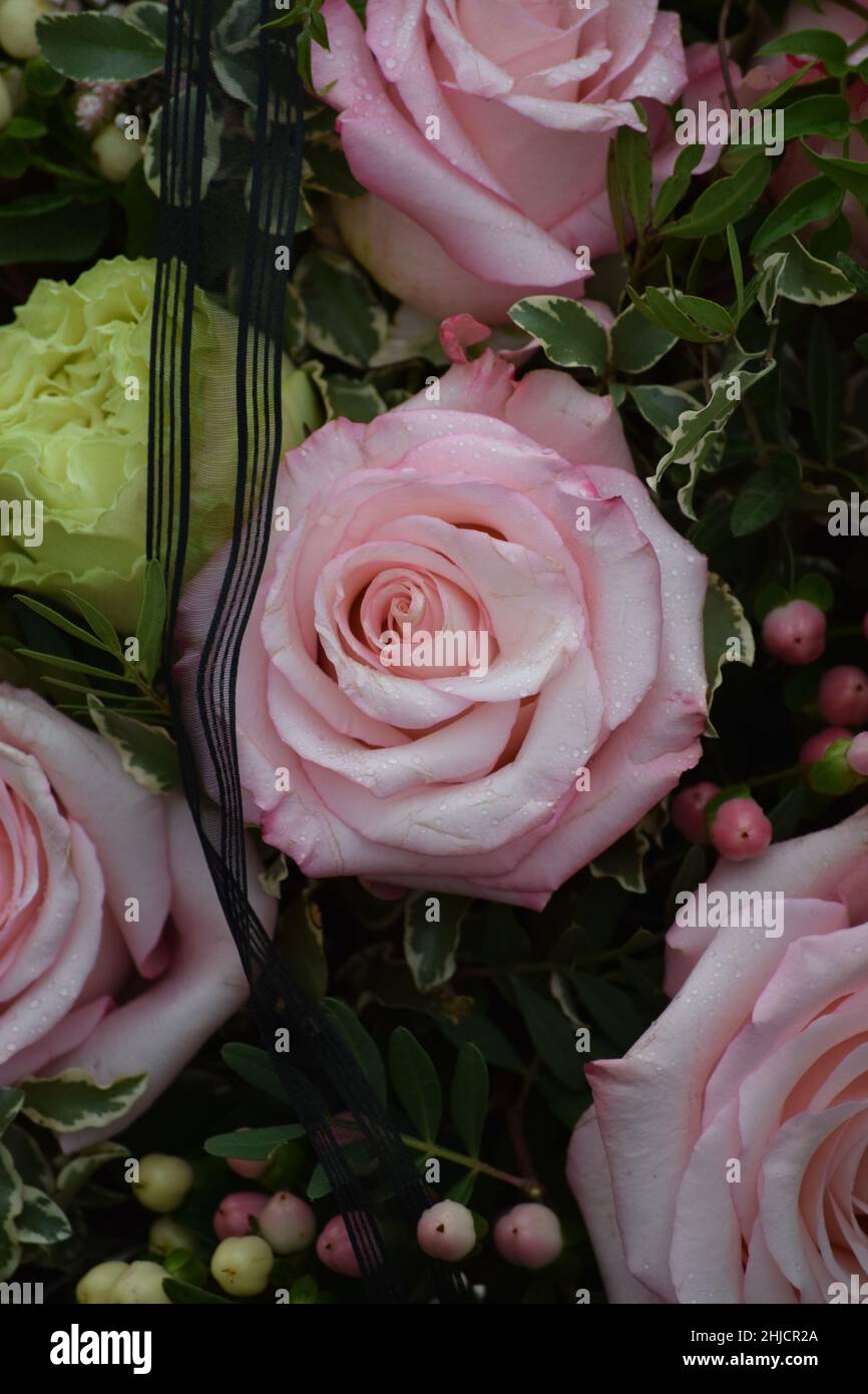 Mourning flowers with black Ribbon Stock Photo Alamy