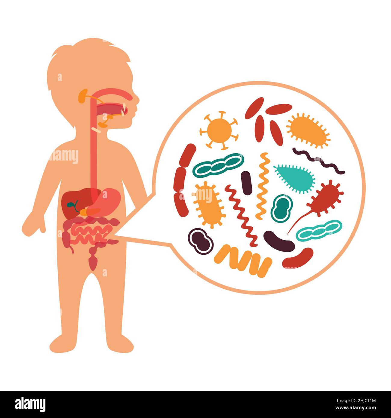 medical vector illustration of stomach ache, Children digestive system problems Stock Vector