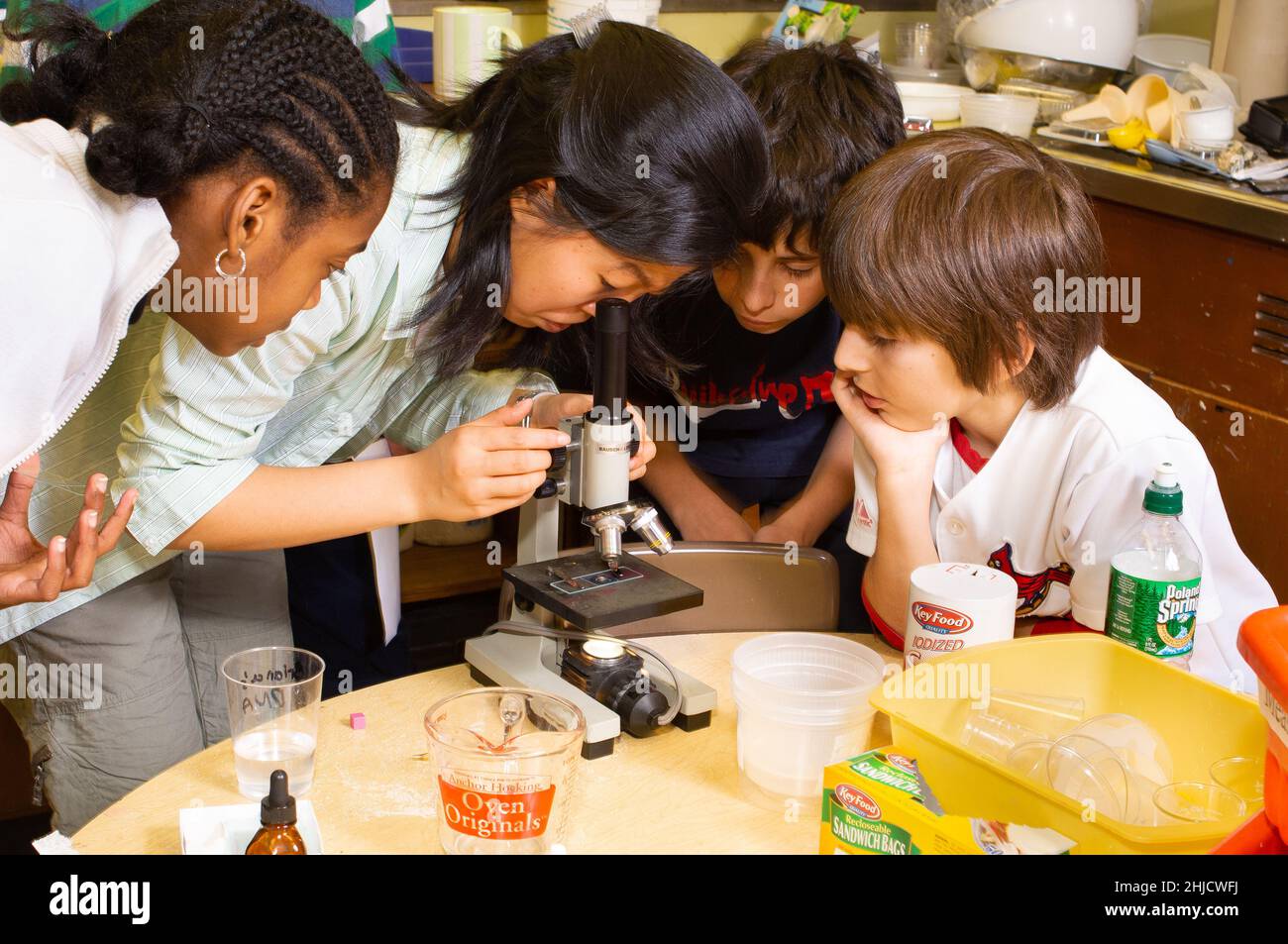 Education Elementary or Middle School Grade 6 science class DNA extraction group of two girls and two boys working on experiment, using microscope Stock Photo
