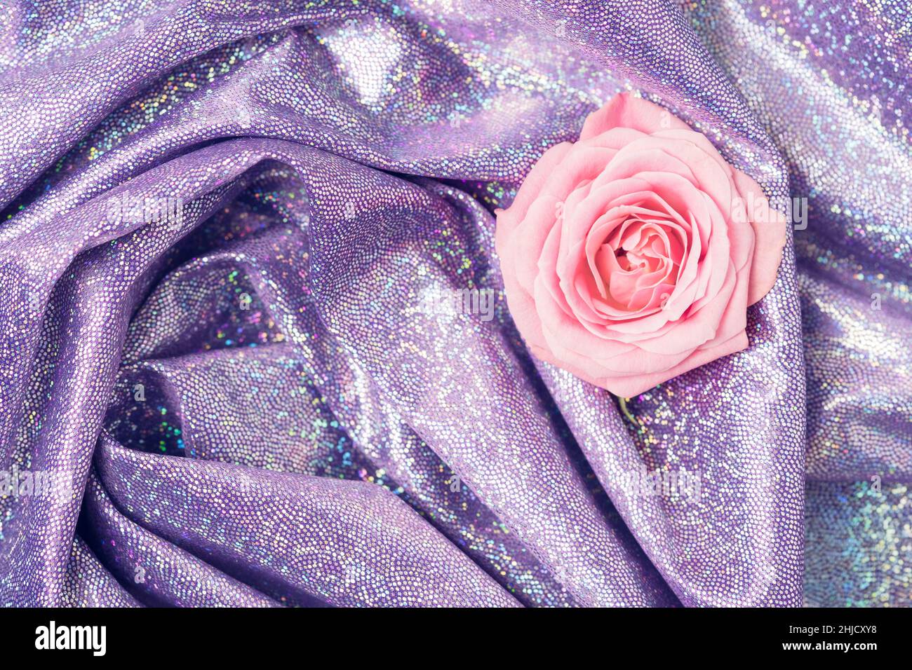 Violet glittering fabric with single pink rose. Retro futuristic, digital nature conceptual background. Stock Photo