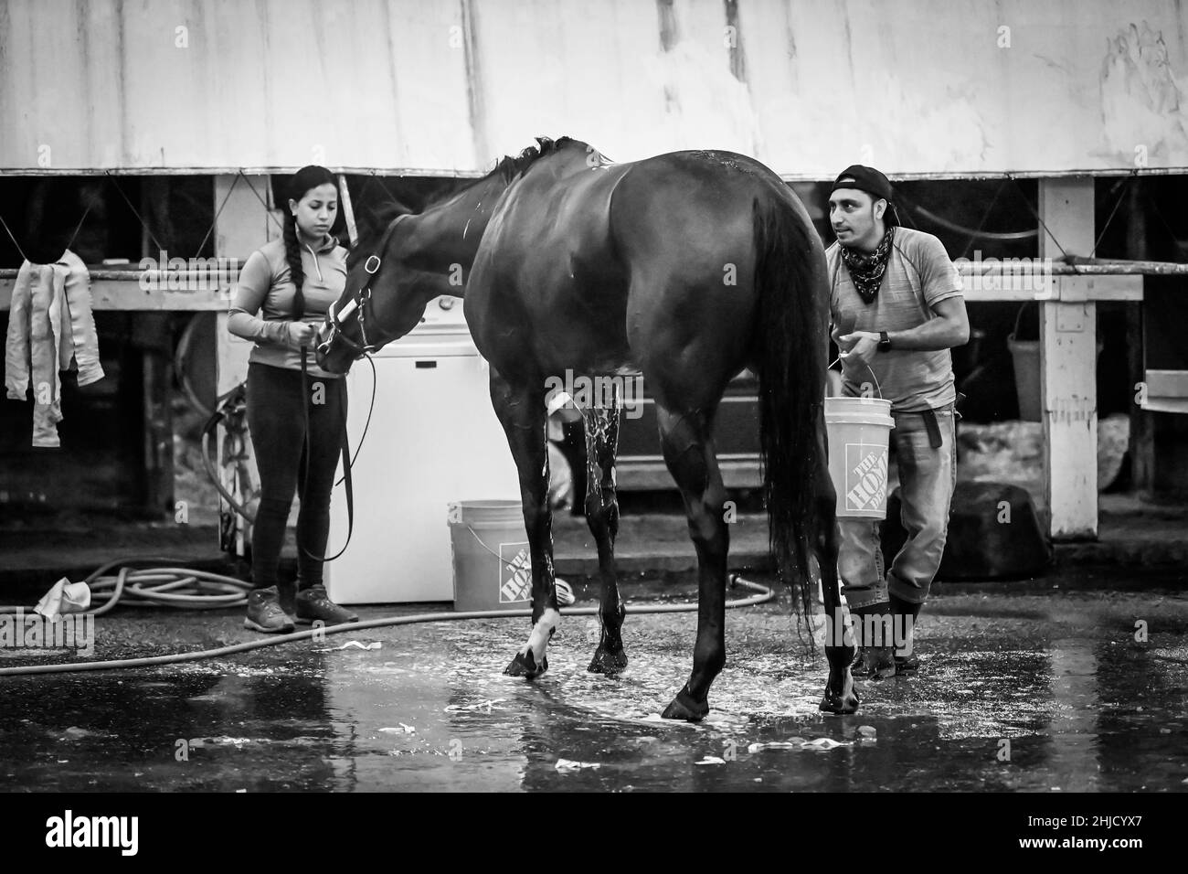 2022 pegasus world cup at gulfstream Black and White Stock Photos