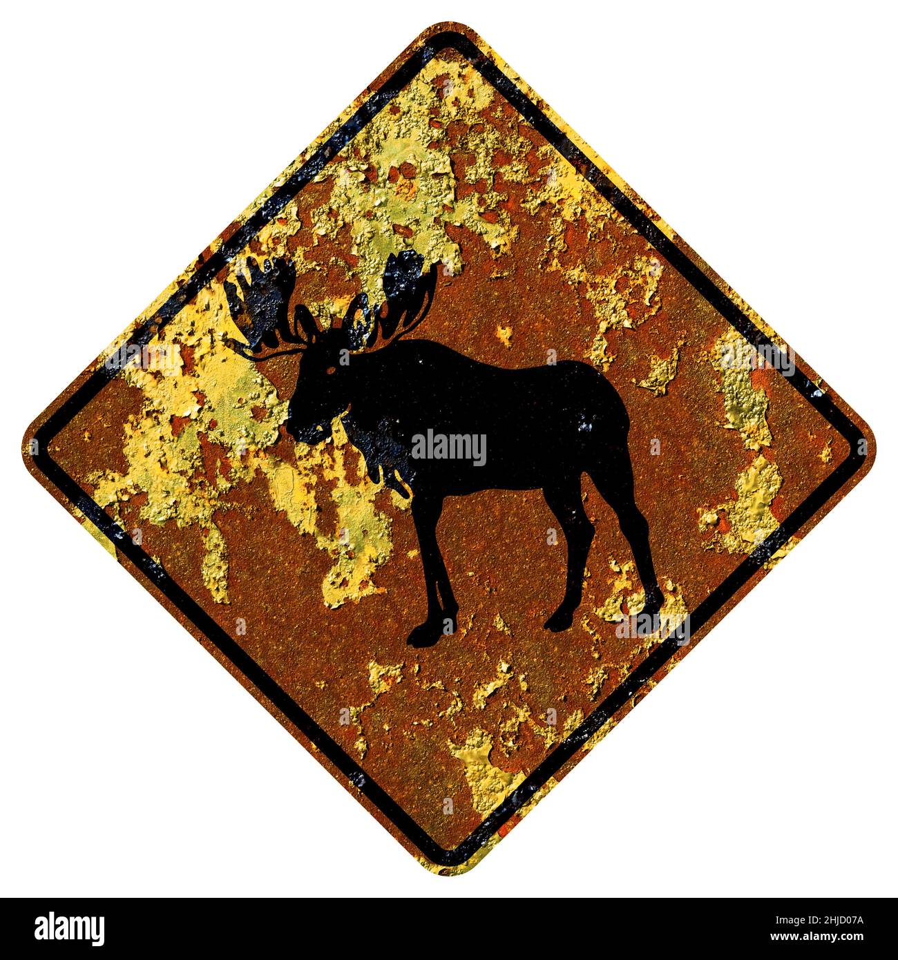 Old rusty American road sign - Moose crossing Stock Photo - Alamy
