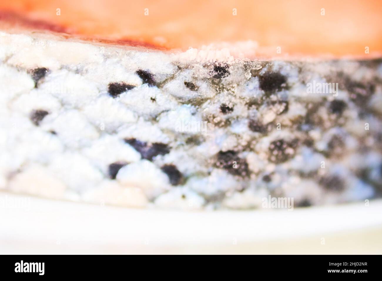 Close-up of pink salmon scales with space to copy. A piece of frozen salmon fillet. High quality photo Stock Photo