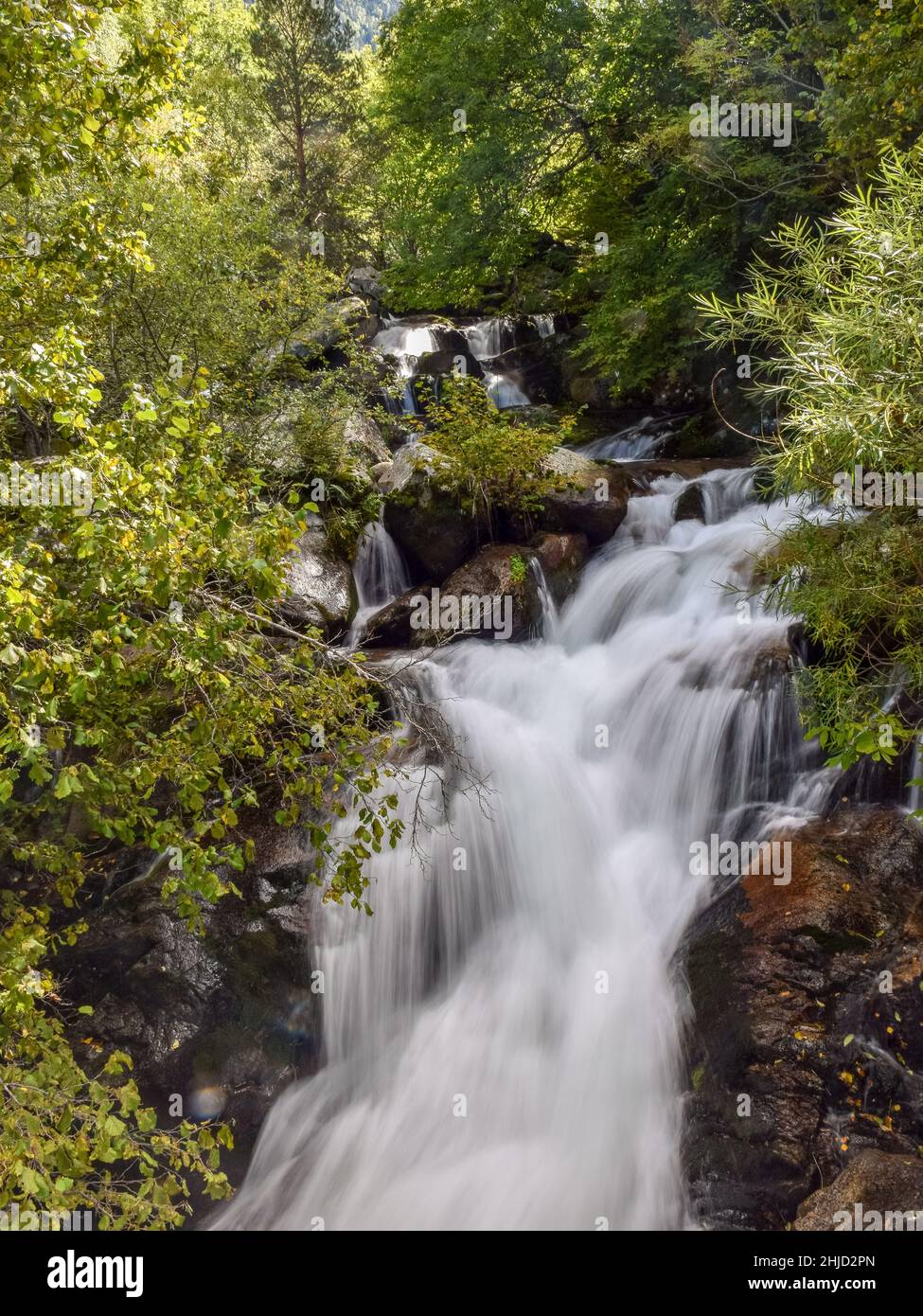 mountain river waterfall, green shrubs and trees on the river bank ...