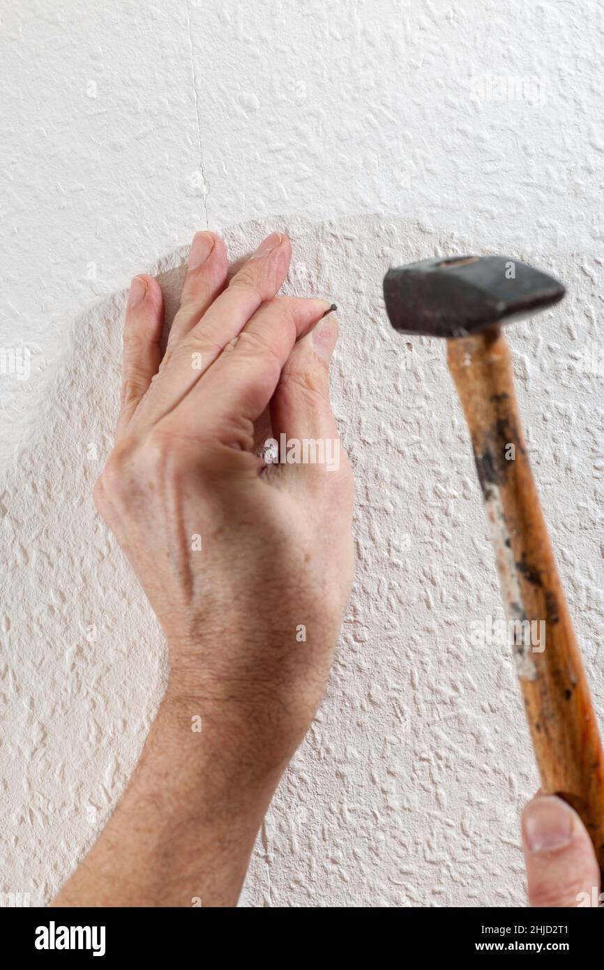 Close-up of a hand with a steel nail driving the nail into a wallpapered white wall with a hammer. Stock Photo