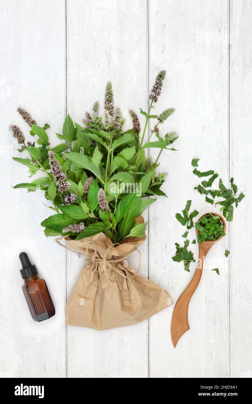Peppermint herb leaves and essential oil bottle on rustic wood. Used in