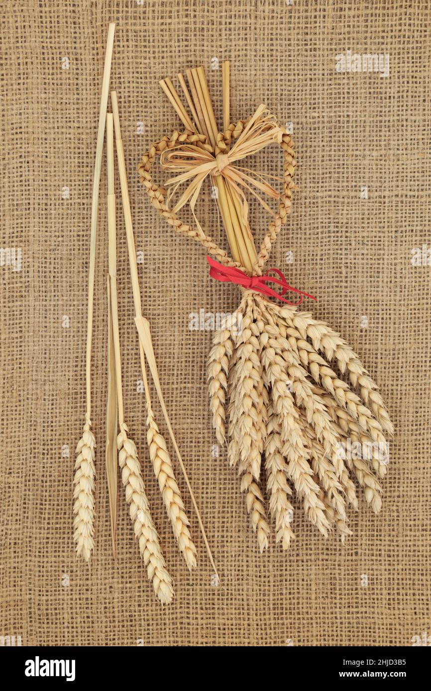 Corn dolly with wheat sheaths. Ancient pagan druid fertility symbol and used in harvest ritual customs in Europe. On hessian background, top view. Stock Photo