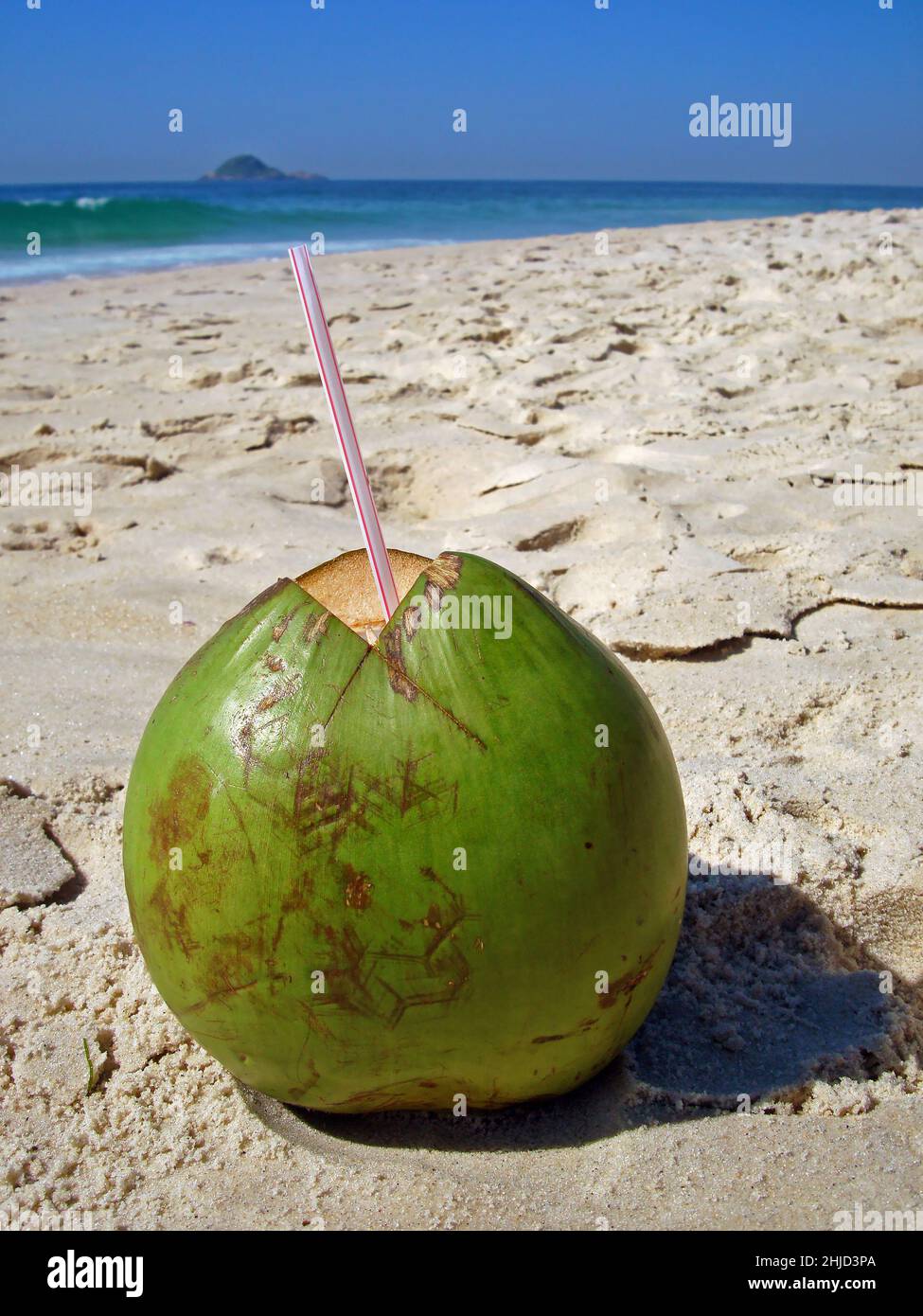 Fresh coconut in the beach, Rio Stock Photo