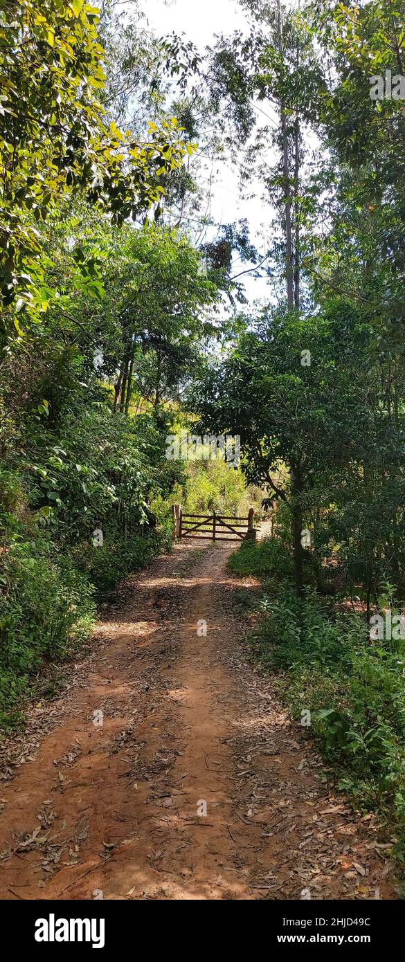 Small rural street, Minas Gerais, Brazil Stock Photo - Alamy