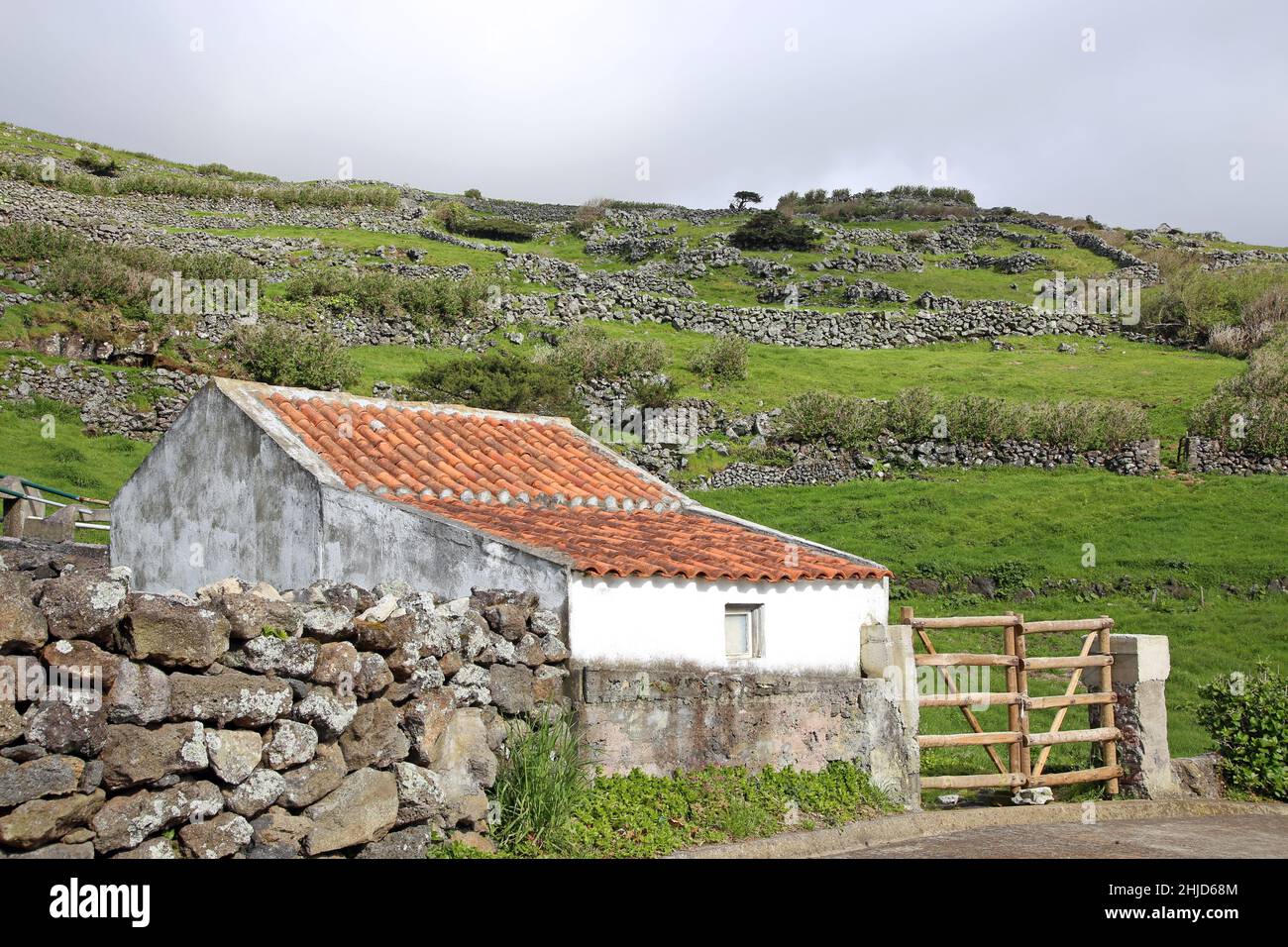 Insel Corvo, Azoren, Landwirtschaft an den Hängen der Caldeirao - Island of Corvo Azores, Farming on the slopes of the Caldeirao Stock Photo
