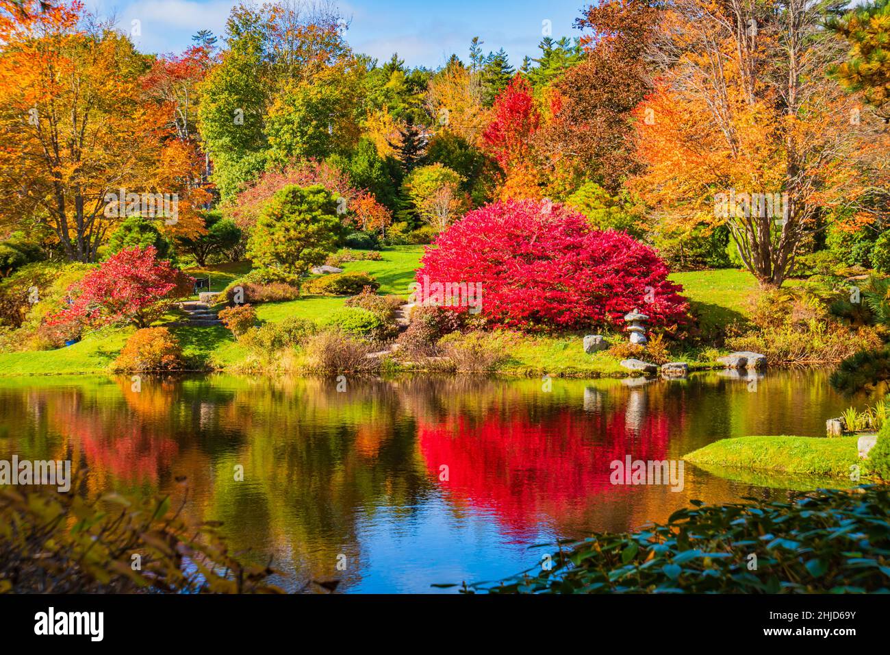 The Asticou Azalea Gardens on Mount Desert Island, Maine in autumn Stock Photo