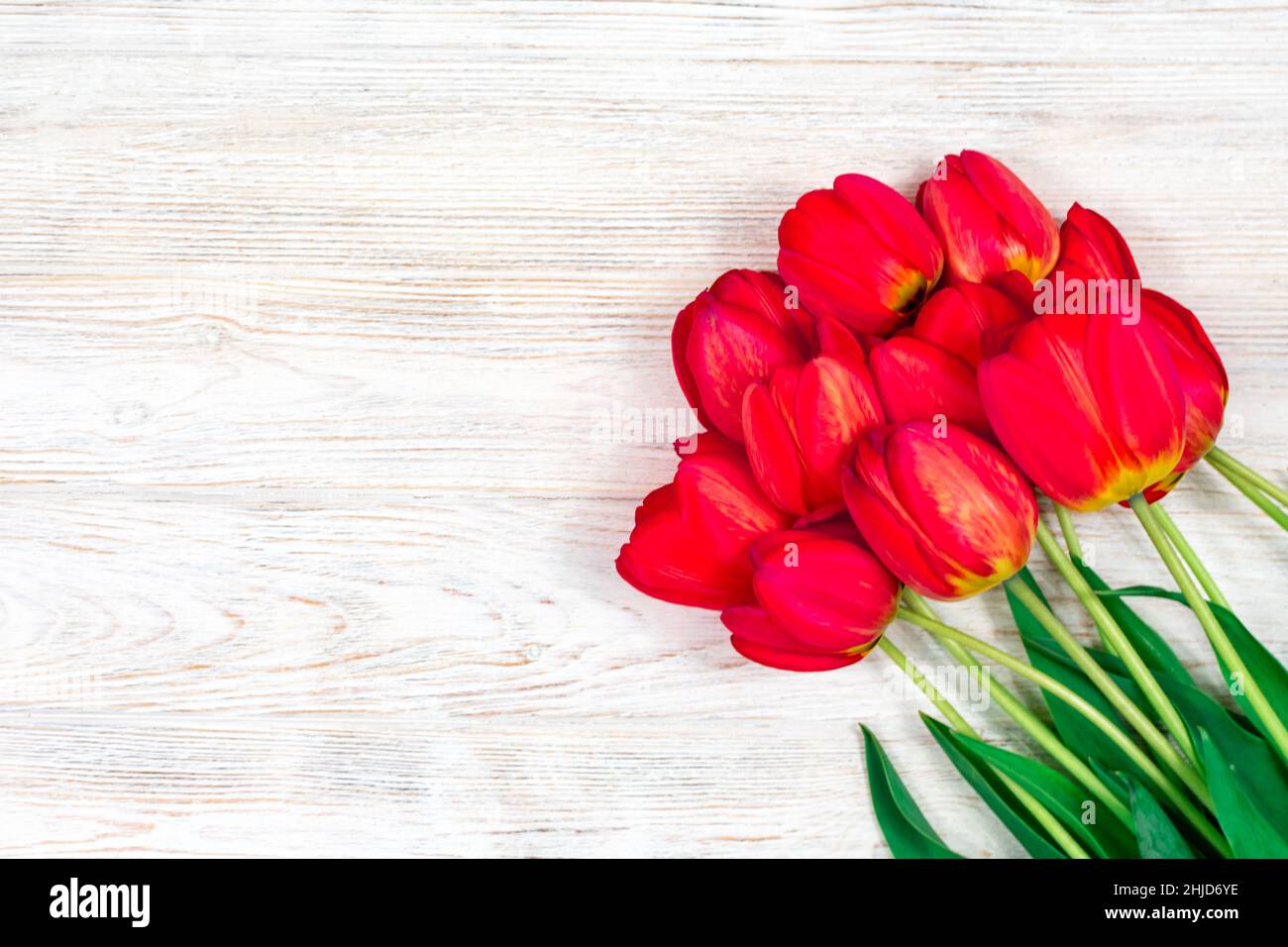 Red tulips flowers bouquet on old white wooden background. Top view with copy space. Stock Photo