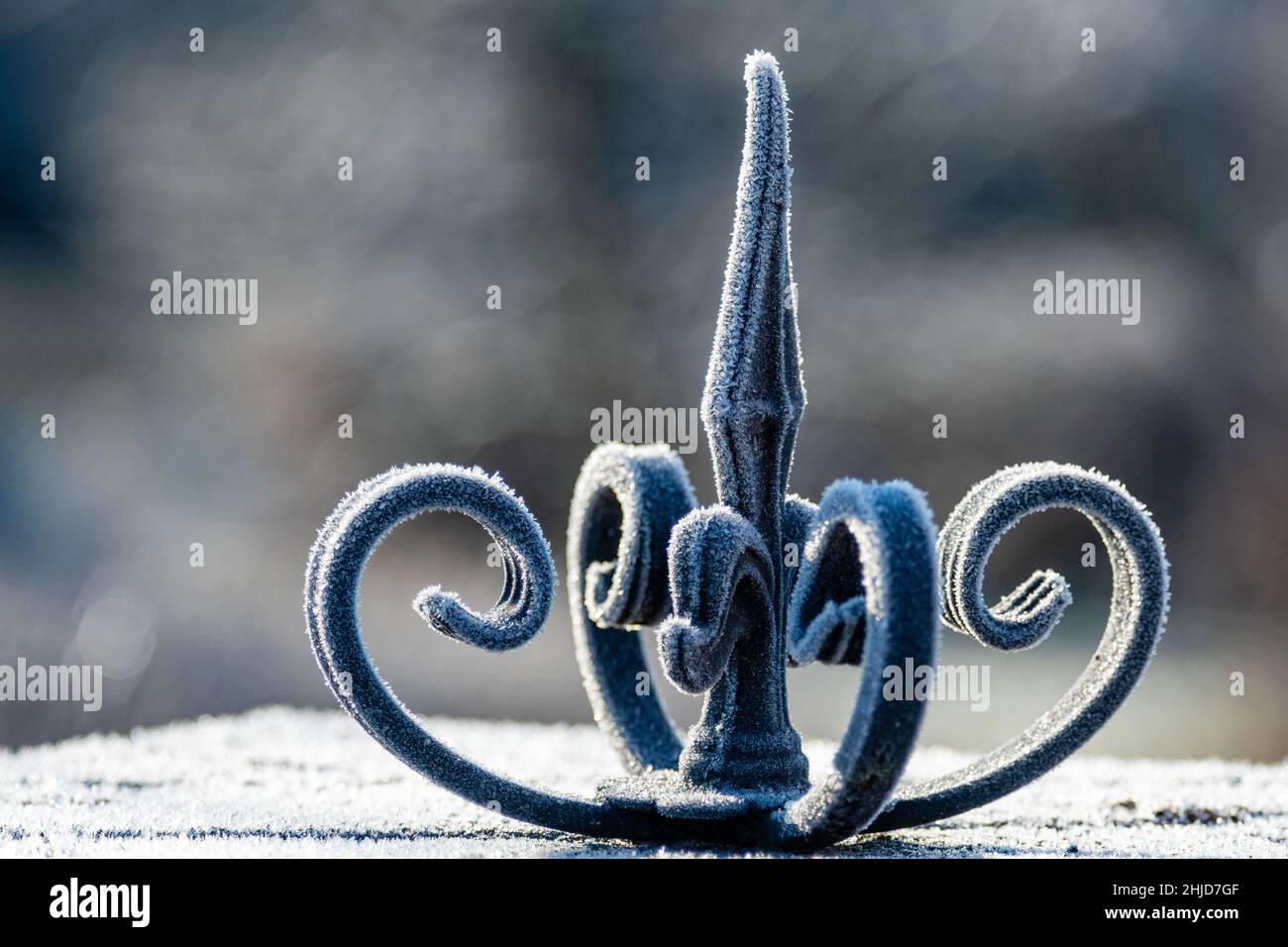 crown of forged iron covered with white frost Stock Photo