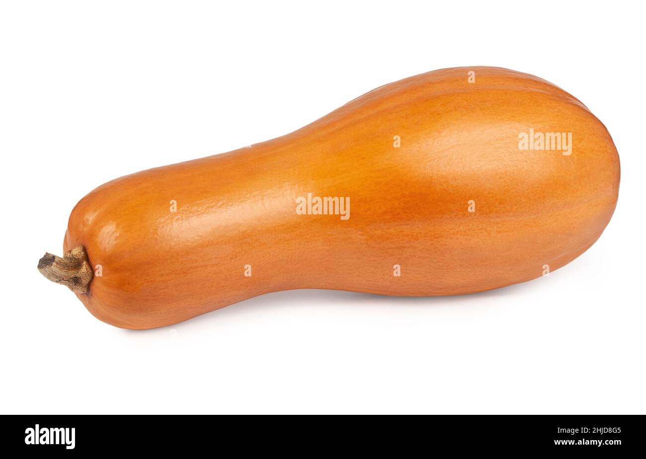 butternut pumpkin isolated on white background Stock Photo