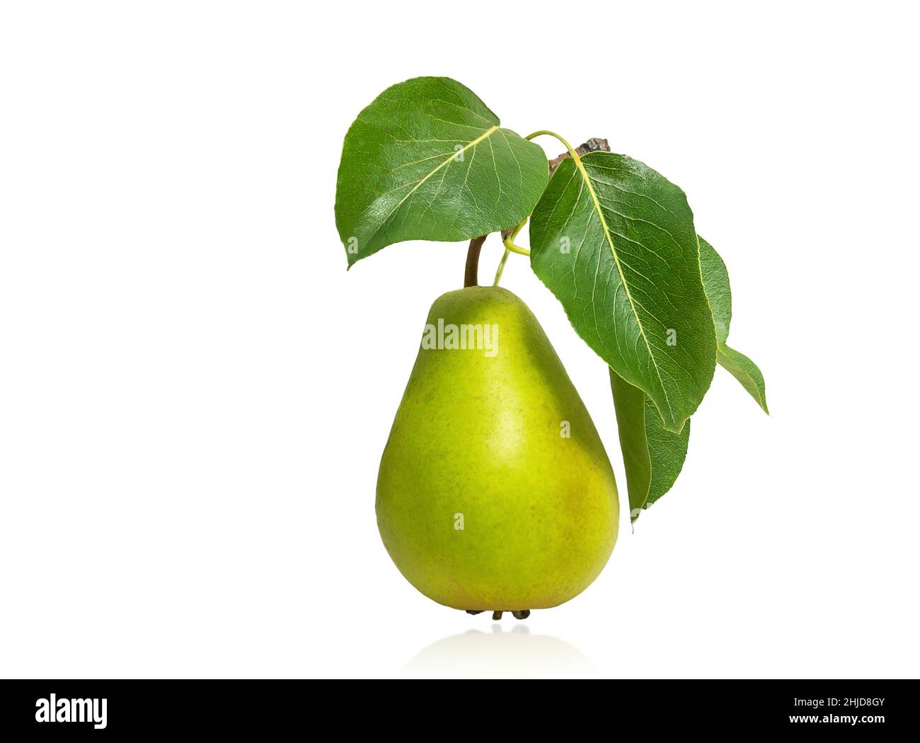 ripe sweet pear with leaves isolated on white background Stock Photo ...