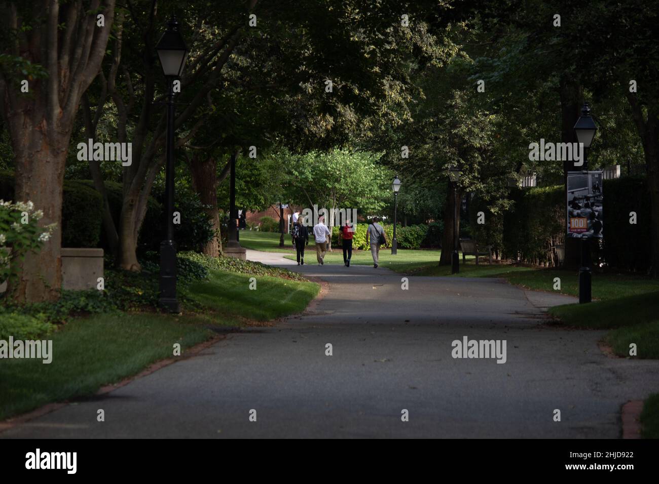 Group of people walking in a pathway in a park full of greenery Stock ...